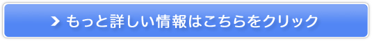 �{�i�I�[�_�[���C�h�V���c�́y�����������z�̔��T�C�g��